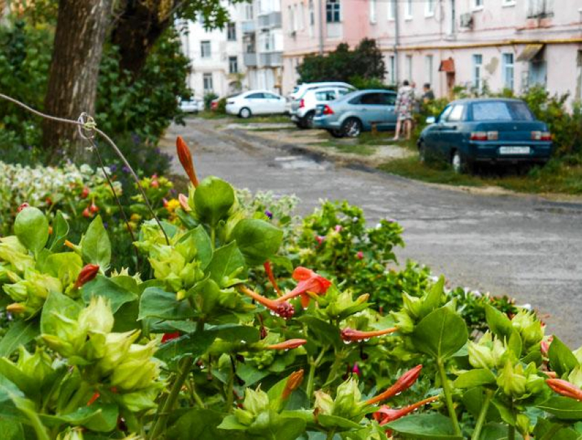 Камышинская городская прокуратура разъясняет правовые последствия управления транспортным средством в состоянии опьянения