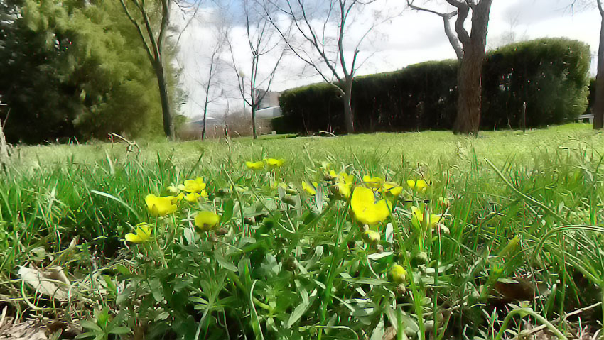 Самая жаркая за 30 лет весна начнется со снежной недели в Камышине