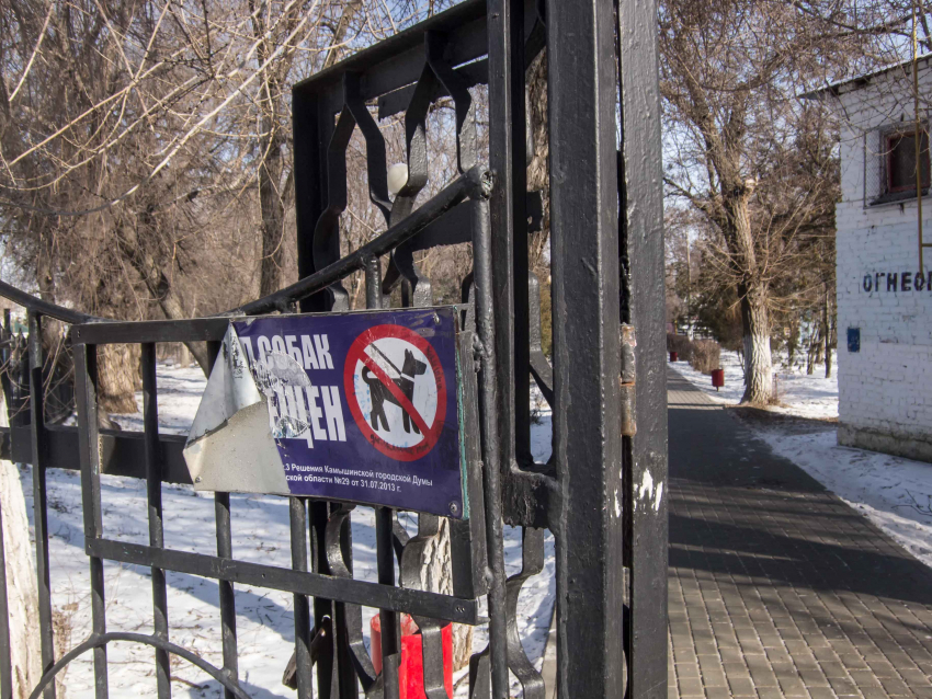 В Камышине на воротах городского парка висит «антисобачий» аншлаг, порванный собаками? - камышанка