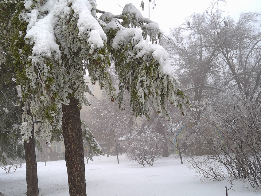 После «нуля» и мокрого снега Камышин проморозит до -11-ти: погода на выходные