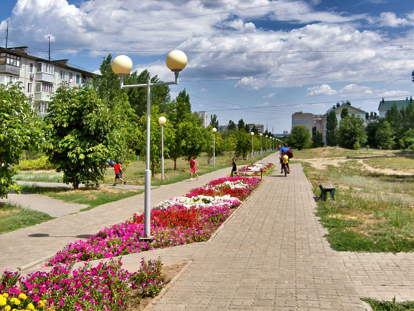 Как найти работу в Камышине