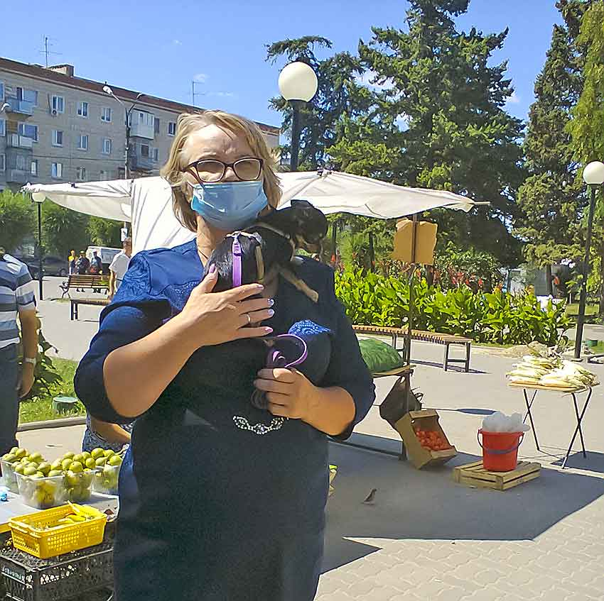 Прирост зараженных COVID среди камышан за минувшие сутки составил то ли 5, то ли 10 человек по данным на 11 сентября