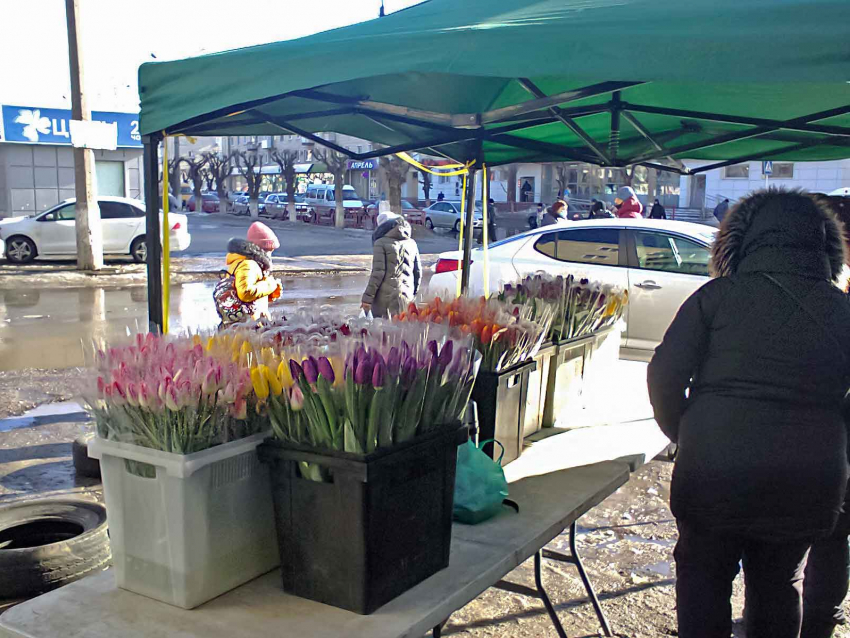 Камышин в преддверии 8 Марта заполонили стихийные цветочные базары