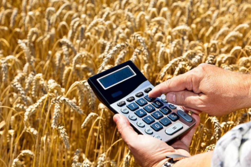 Для камышан, применяющих единый сельскохозяйственный налог,  проведут семинар 