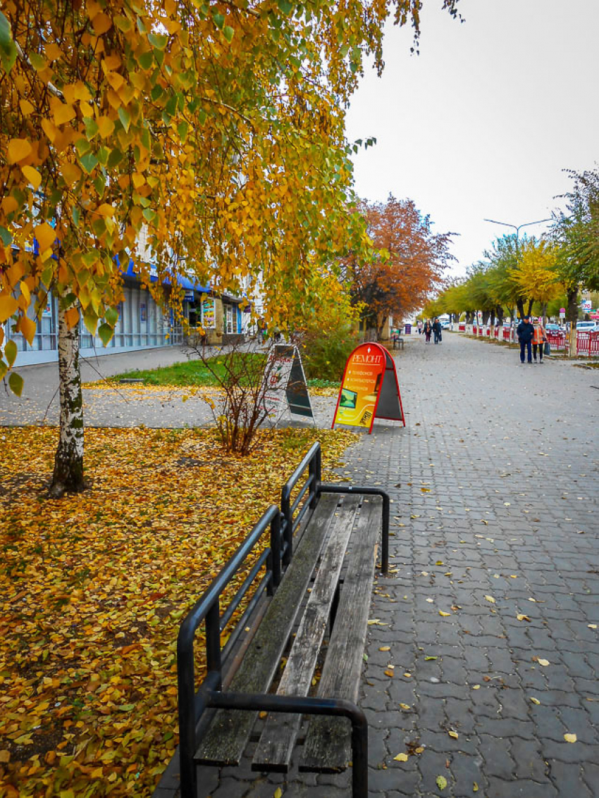 Публикаторы администрации Камышина подробно рассказали о завтрашнем, 8 ноября, крестном ходе