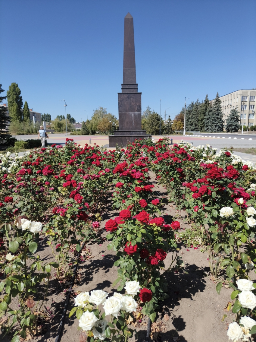 В Камышине мотохулиганы безнаказанно гоняют уже по площади Павших борцов? (ВИДЕО)