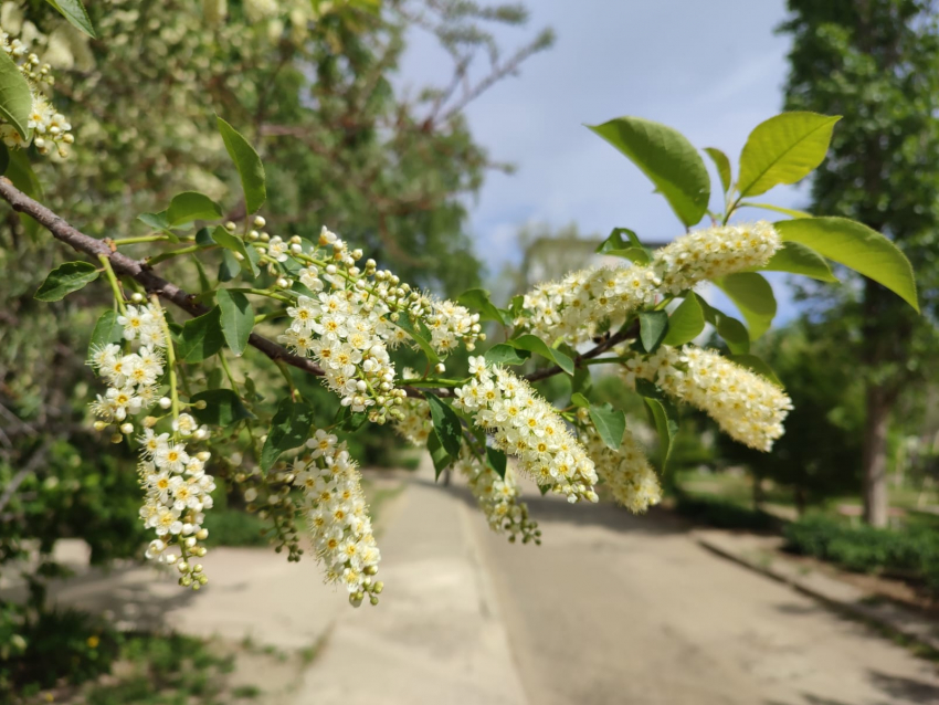 Очень солнечный и теплый четверг пришел в Камышин