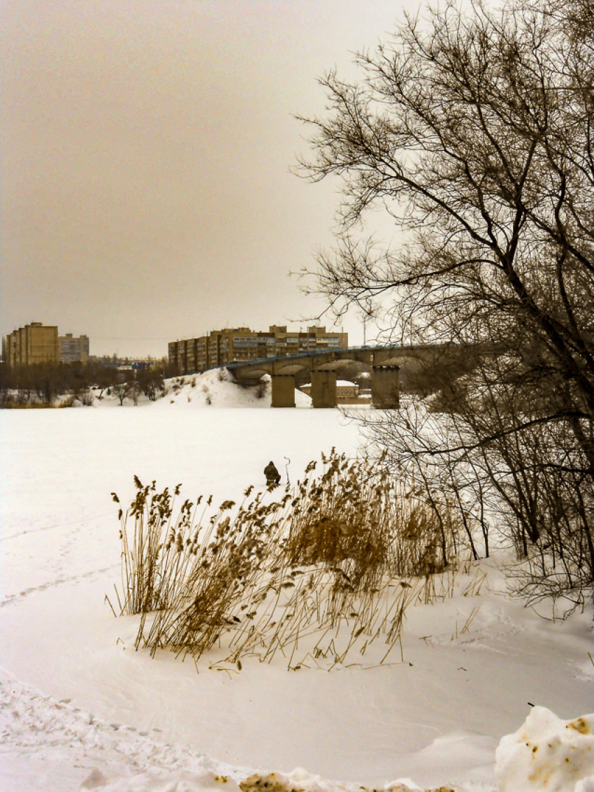 Камышан насторожила бетонная крошка, осыпающаяся на лед с Бородинского моста (ВИДЕО)