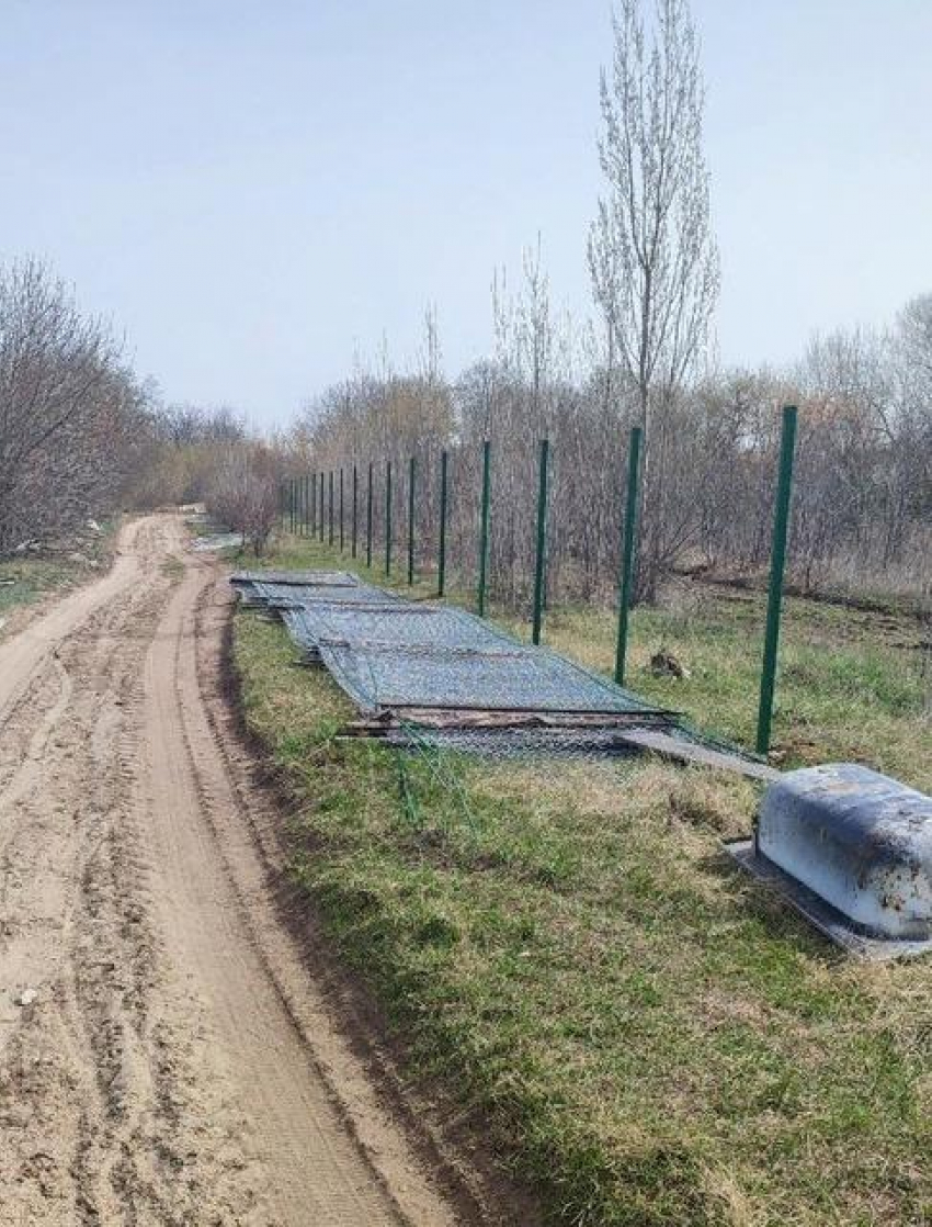 Зачем в лесопитомнике, где мы любим гулять, городят забор? - камышанка