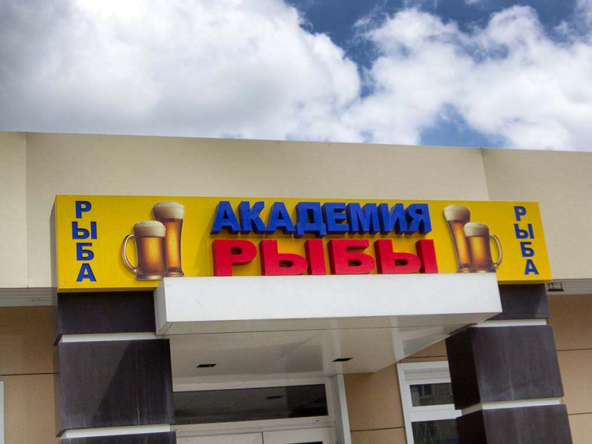 Почему в Камышине «Академия рыбы» рекламирует пиво?