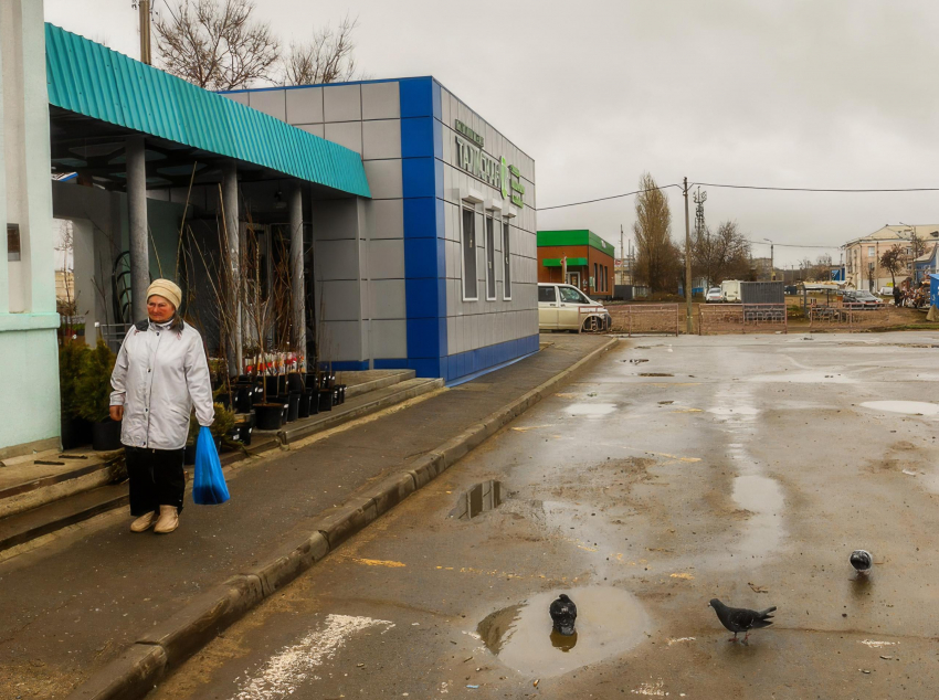 В Камышине административная газета «Диалог» просветила горожан, в какие маршрутки можно садиться льготникам с проездными