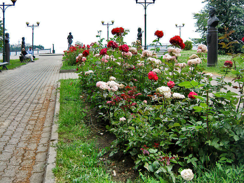 Семь украинских БПЛА перехватили ночью над Волгоградской областью