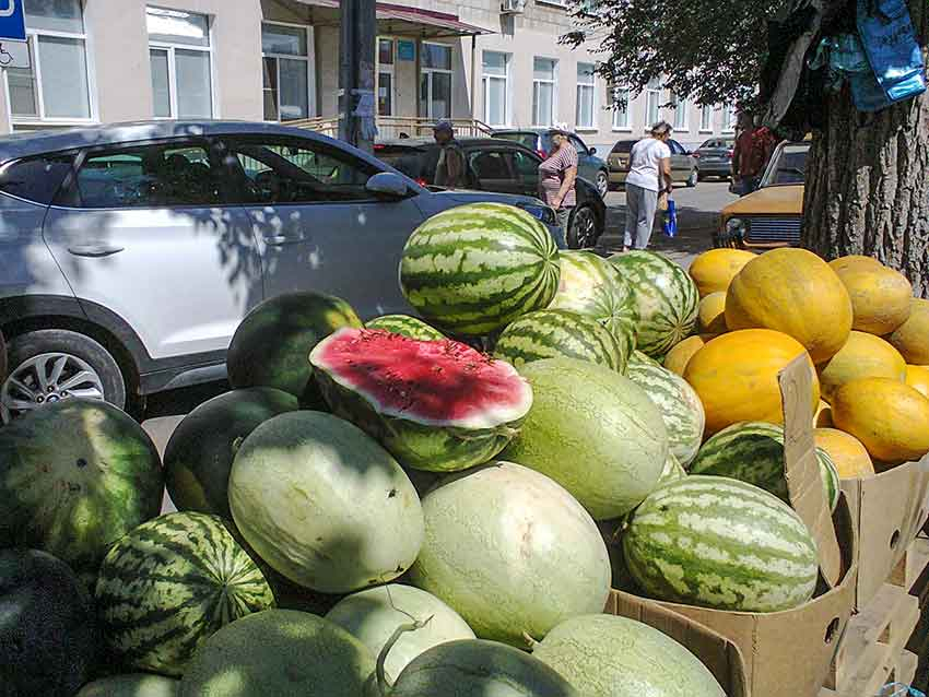 В Камышине начался сезон найма горожан на погрузку арбузов и дынь