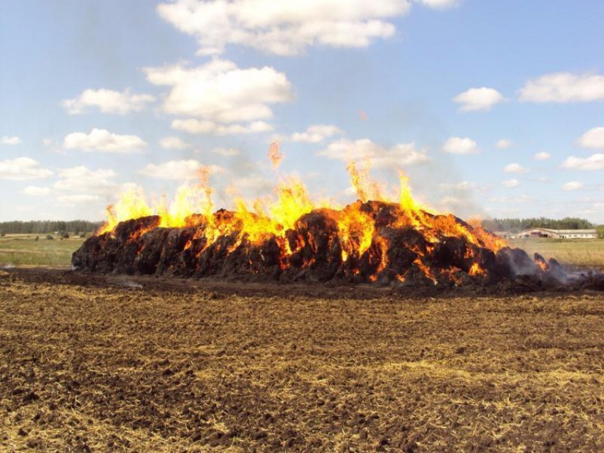 В селе Камышинского района сгорело 3 тонны соломы