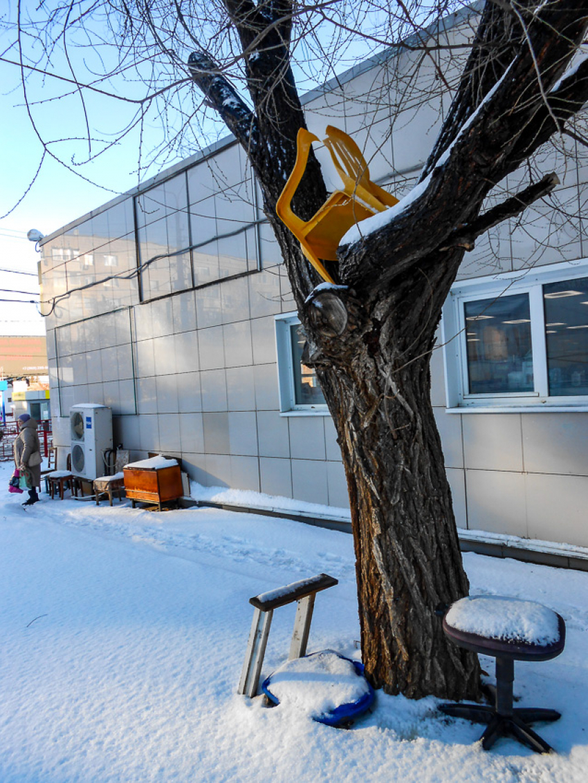 Кто додумался «кладовку» на дереве устроить в Камышине в центре города?» - камышанка