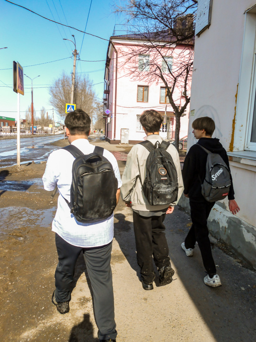 В Камышине днем тепло и солнечно, но ночами подмораживает: погодная повестка на конец недели