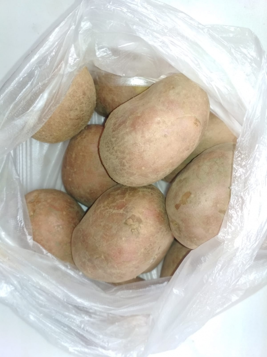 В Камышине установлен рекорд на цену килограмма картошки в магазине «Магнит"