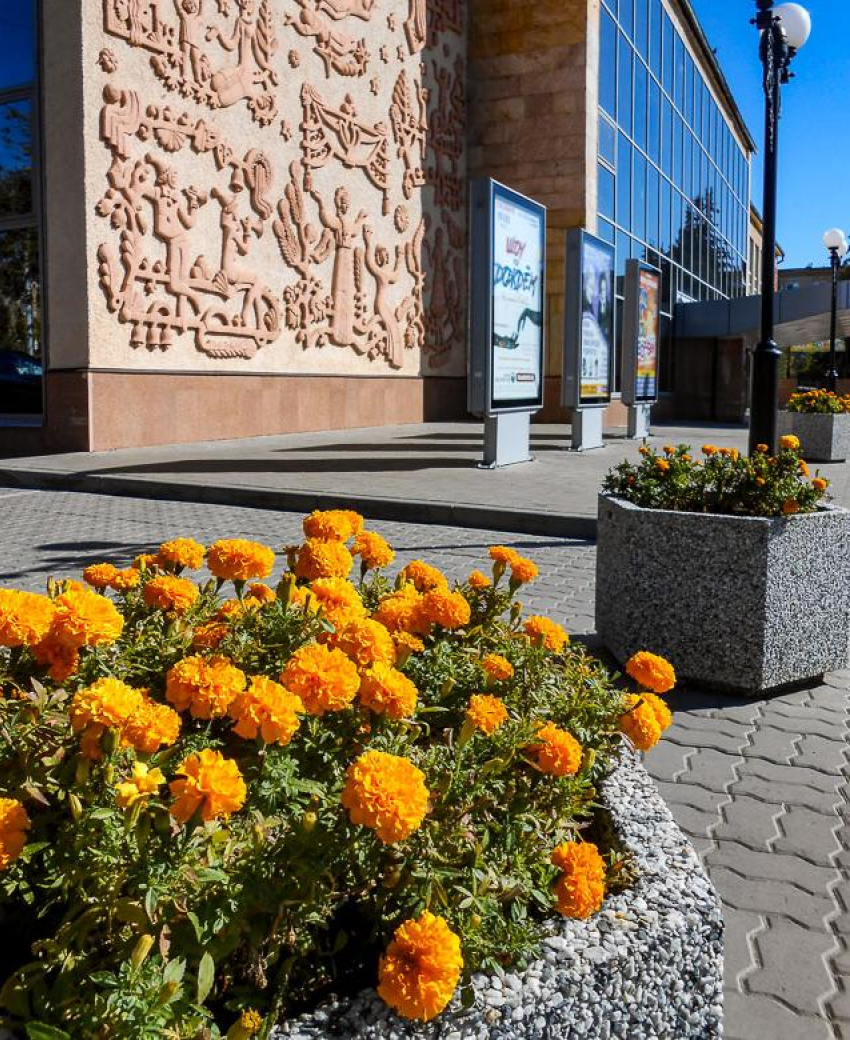 В Камышине начались дожди, но пока теплые