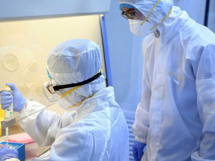 В Волгоградской области медленно, но спадает пиковое напряжение с распространением коронавирусной инфекции