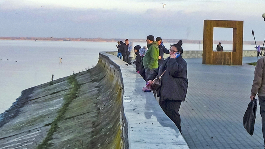 Сбой в работе MAX, отсутствие мобильного интернета фиксируются в Волгоградской области, в Камышине тоже