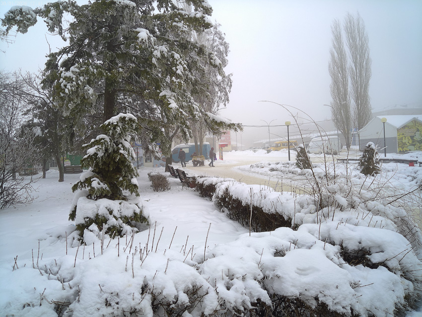 "Оранжевый» уровень погодной опасности объявлен 31 января в Волгоградской области