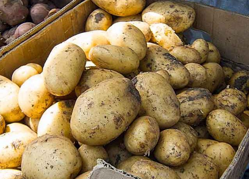 Депутата Госдумы потрясли цены на картошку в России