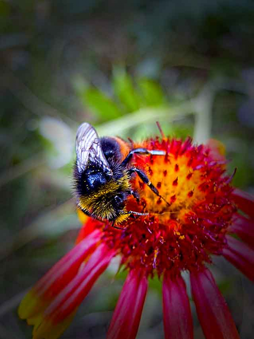 В Камышине завершение недели прогнозируется очень солнечным, но не жарким