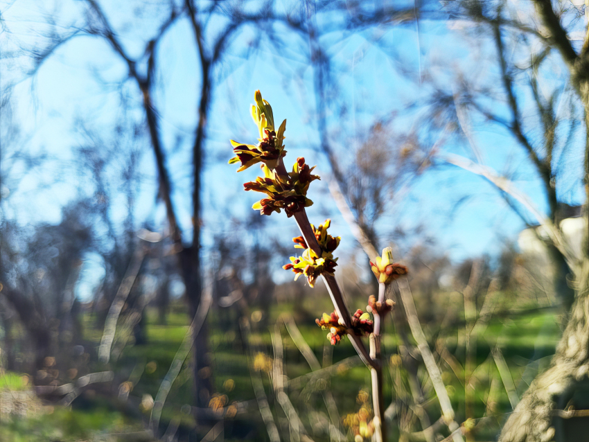 Очень свежо, ветрено, дождь плюс магнитный шторм: погодная повестка для Камышина на 9 апреля