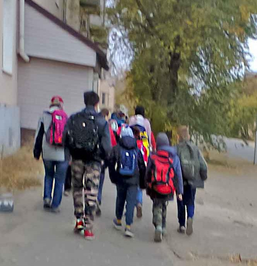 В Волгоградской области на карантин закрыли 95 классов в школах, в Камышине все ребята учатся в штатном режиме