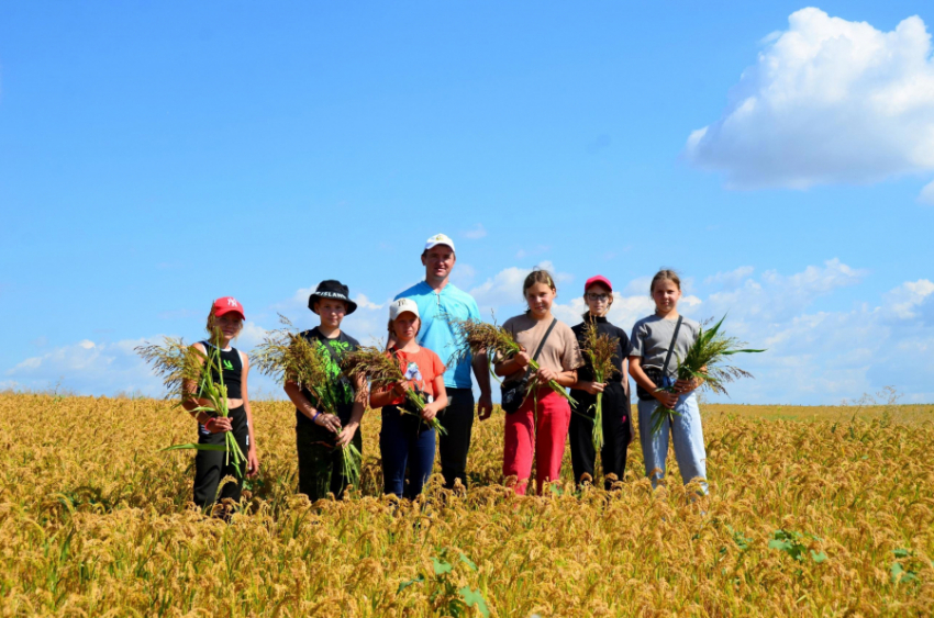 Как помогает здоровью полей «детская шеренга» в ОПХ «Камышинское"