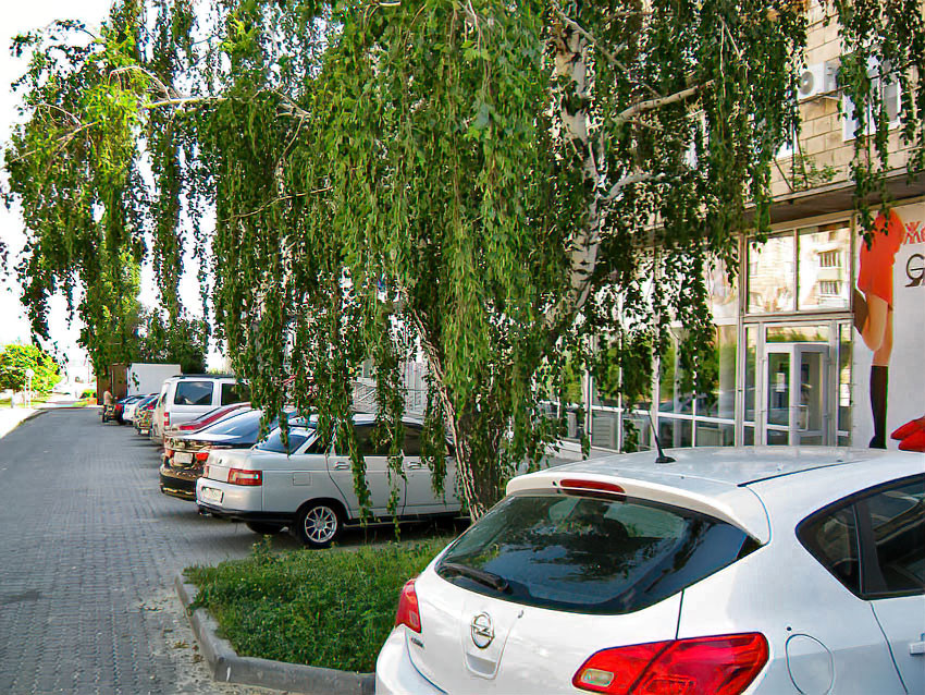 Полицейскими Камышина возбуждено уголовное дело по факту подделки водительского удостоверения