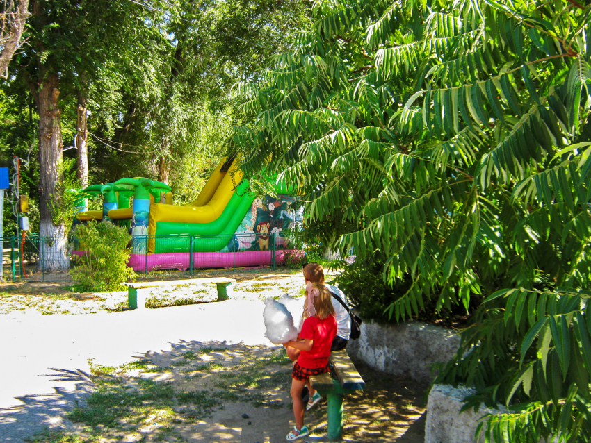 Глава Камышина Станислав Зинченко решил добавить горожанам кафе на будущее лето