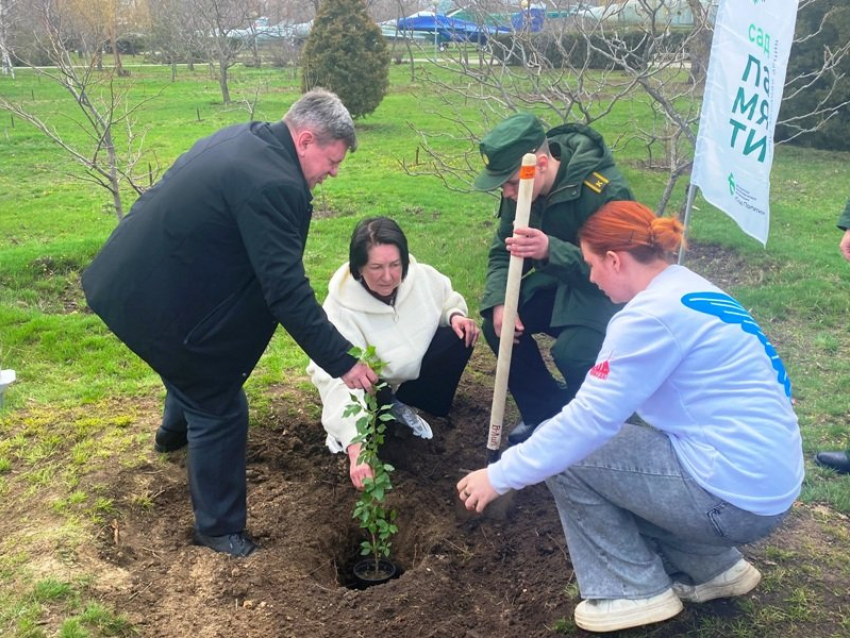 Зачем чиновники и депутаты Камышина отправились в парк с лопатой