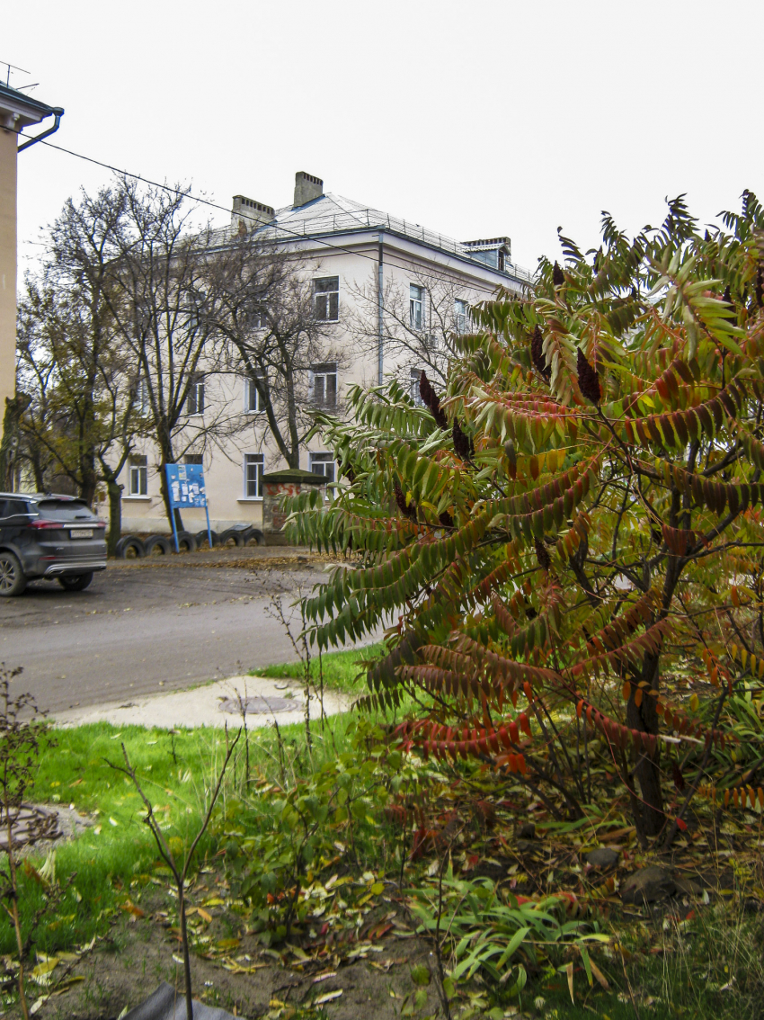 Декабрь в Камышине начинается с плюсовых отметок: погодный прогноз на 2 декабря