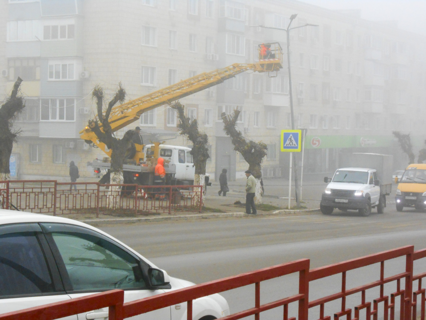 Камышин туман поглотил «жадно» - дело дошло до штормового предупреждения 28 ноября