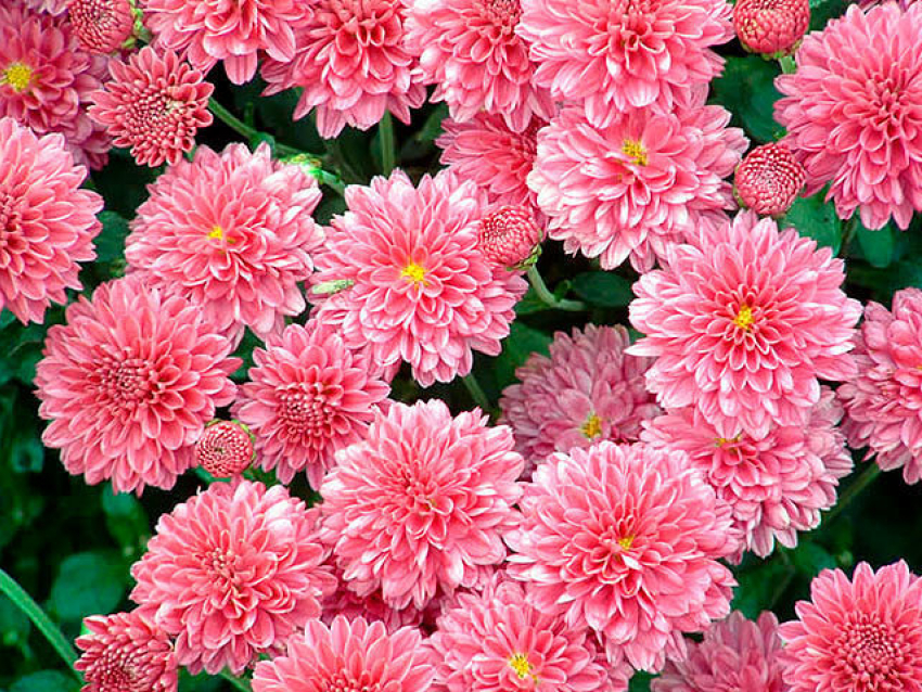 Сентябрь дарит камышанам еще одну летнюю неделю