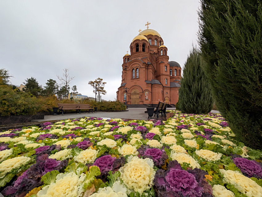 Андрей Бочаров поздравил митрополита Волгоградского и Камышинского Феодора с праздником