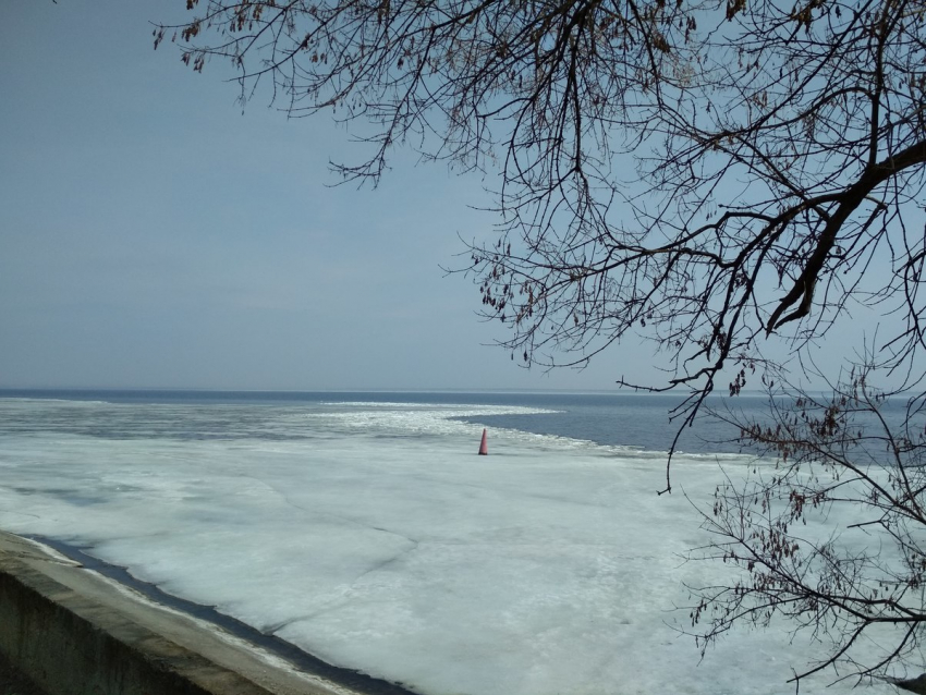 В Камышине на Волге открываются все новые участки освободившейся ото льда воды
