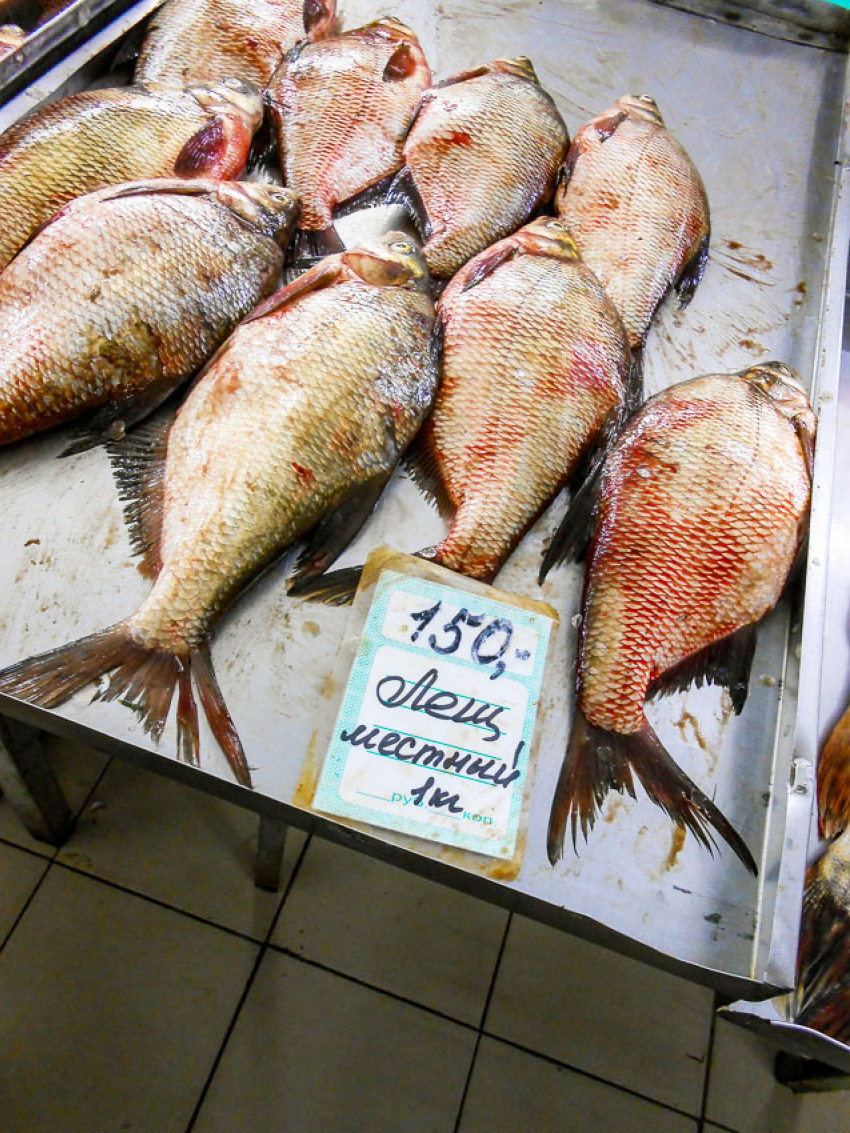 На центральном рынке Камышина держится аппетитный ассортимент свежей рыбы