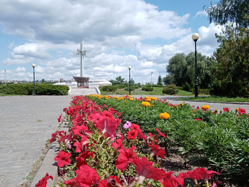 По какому случаю камышан зовут сегодня, 3 сентября, принять участие в церемонии возложения цветов к Памятному знаку