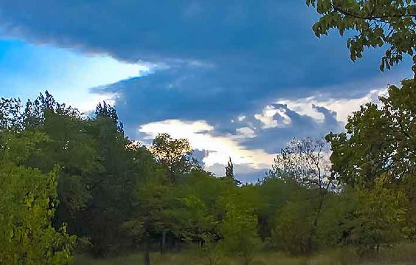 Стало известно, чью еще жизнь «сожрал» молниеносный коронавирус в Волгоградской области