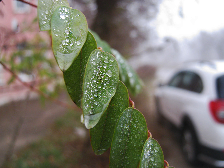 Туман и сильная магнитная буря будут «сопровождать» камышан сегодня, 28 ноября (ВИДЕО)