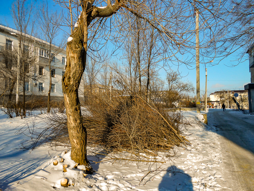 В Камышине расчистили захламленную площадку на втором участке