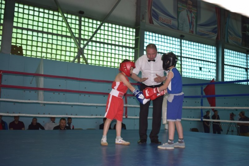В школе №1 Камышина открылось первенство города по боксу среди юношей
