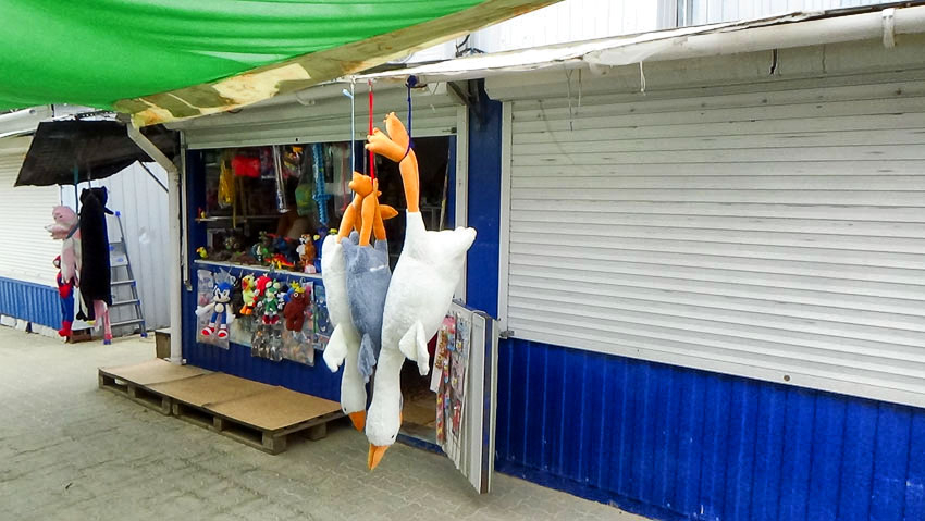 Определенную категорию камышинских предпринимателей освободят от страховых взносов: какую именно, когда и как? - «Блокнот Волгограда"