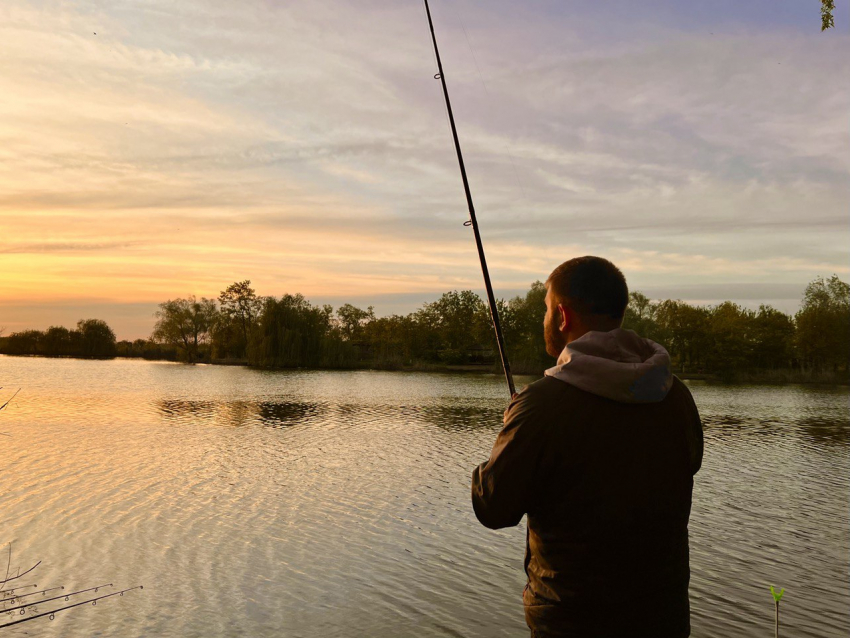 Вот моя деревня, вот мой дом родной: жители Волгоградской области стали активнее в Сети