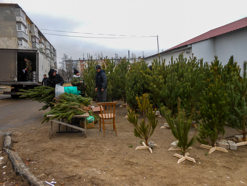 В Камышине энергетики предупредили об отключениях света сегодня, 26 декабря