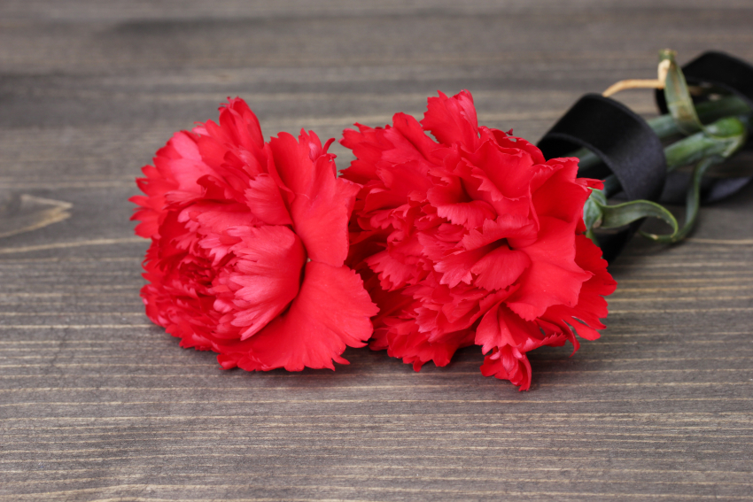 Печальная весть о прощании с участником спецоперации Евгением Сальниковым пришла из Камышинского района