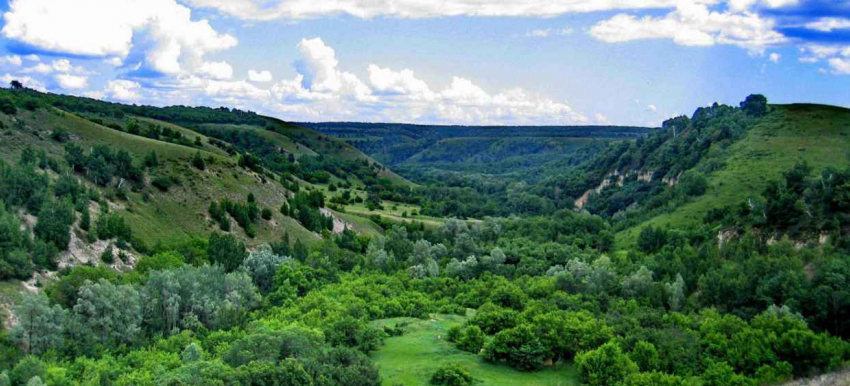Природный парк «Щербаковский» закроют от камышан «на замок"?