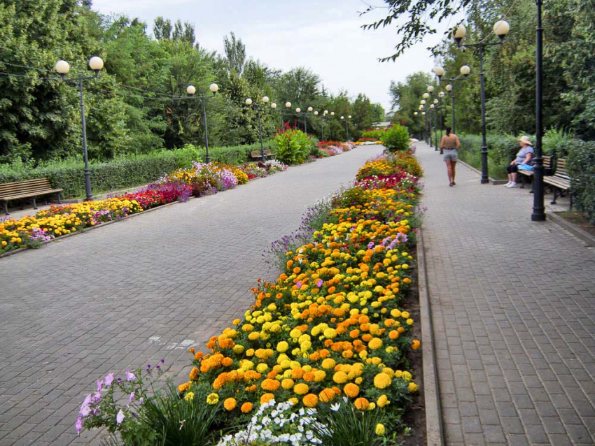 Администрация Камышина решила прокомментировать, что изменится в парке Комсомольцев-добровольцев после реновации